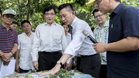 新竹市史上最多　隆恩圳獲金質獎殊榮