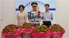 網傳吃荔枝有酒精反應　高市警：不涉酒駕近日網路流傳吃荔枝會有酒精反應，引發民眾疑慮，高雄市政府警察局交通警察大隊大隊長黃耀煌（中）25日表示，吃荔枝不會涉及酒駕問題，民眾可安心食用水果、農產品。中央社記者陳朝福攝　107年5月25日