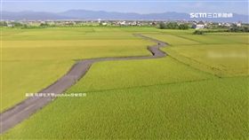 宜蘭拚觀光效法台東 推熱氣球伯朗大道