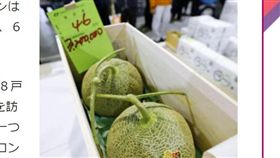 有錢人吃的…夕張哈密瓜拍出天價　2顆87萬創下新紀錄！
圖/翻攝自日媒日本經濟新聞