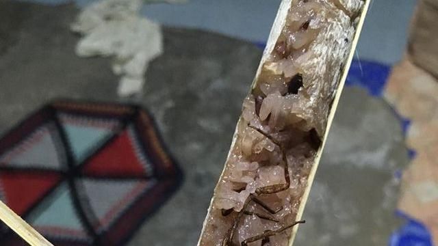 吃到「加料」竹筒飯　網友全驚呆