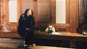 唐美雲（圖/民試提供）