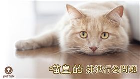 ▲圖／翻攝自PetTalk官網