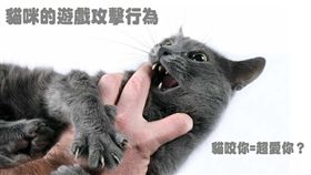 ▲圖／翻攝自PetTalk官網