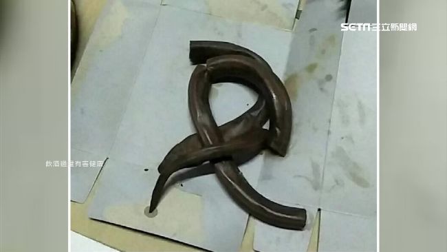 藥酒換瓶裝　驚見「塑膠假土龍」沒爛