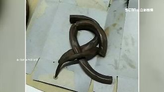 藥酒換瓶裝　驚見「塑膠假土龍」沒爛