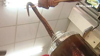 滋陰補陽壯筋骨？這藥酒最貴破10萬