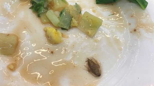 蚵仔煎翻面藏小強！夜市攤販死不道歉