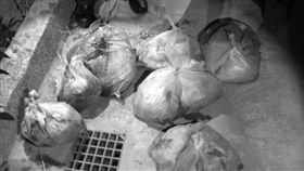 板橋分屍案　七袋屍袋　變色處理