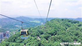貓空纜車,貓纜。（圖／北捷提供）