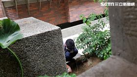 新北,新莊,板橋,分屍,情殺,自殺,上吊,屍塊,警方,開挖(圖/記者林盈君攝)