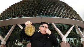 「川普，等你來呦！」金正恩抵星國吃榴槤　原來是山寨的…
澳籍華裔霍華德（Howard X）假扮金正恩，圖／路透社／達志影像