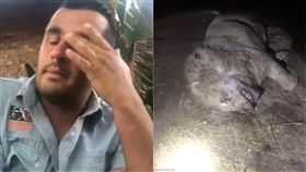 Limpopo,南非,Justin Fernandes,獅子,老虎,黃金虎,動物,保護區,毒殺,巫藥,首級 圖／翻攝自臉書　https://goo.gl/GWfba3