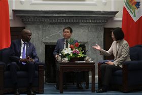 蔡英文總統與海地總統摩依士（Jovenel Moïse）進行雙邊會談。（圖／總統府提供）