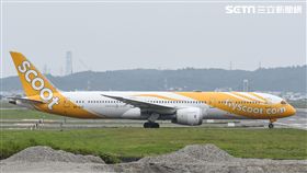 酷航。 圖／記者林敬旻攝