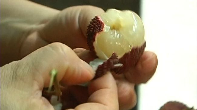 玉荷包結果率1成5　價格恐漲2倍