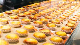 北海道起司塔。（圖／Bake Cheese Tart提供）