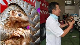 桃園,龍潭,渴望園區,穿山甲,高平消防分隊（圖／翻攝畫面）