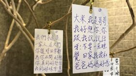 板橋分屍,王薇君,靈堂,卡片