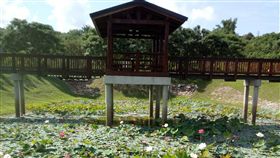 古蹟變賞花秘境　原台南水道遊客倍增（1）國定古蹟「原台南水道」淨水池區的荷花池近日進入花期，搭配園區內的特色建築，成為民眾相互介紹的賞荷秘境。（台南市文化局提供）中央社記者楊思瑞台南傳真　107年5月27日