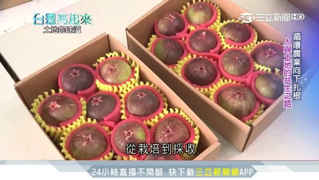 農業廢棄物變黃金！蚯蚓糞成有機肥