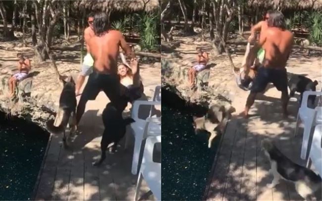 遊客玩人體海盜船　汪汪湊熱鬧衰落水