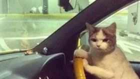 老司機　上車　翻攝網路