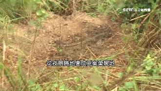 小三遇害成白骨　夜景勝地詭事頻傳