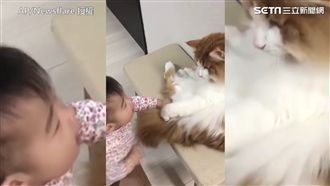 難親近？這位小貓奴連喵大王也融化