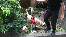 新北市,板橋,國光路,分屍,棄屍,肢解,埋屍,上吊