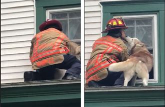 月月調皮困屋頂　獲救狂送消防員香吻