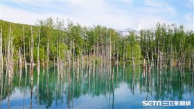 白金青池,旅遊,北海道,旭川。（圖／記者馮珮汶攝）