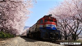 圖／韓國觀光公社提供