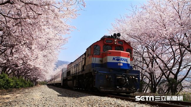 王維中加油之旅／昌原景點攻略（下）