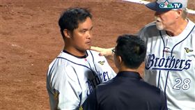 林智勝遭頭部觸身球。（圖／翻攝自CPBL TV）