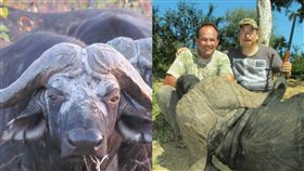 南非,Claude Kleynhans,水牛,報仇,獵人,戰利品,長頸鹿,狩獵,Levubu River,獵殺　圖／翻攝自臉書　https://goo.gl/8T6CJj