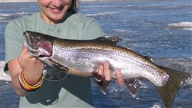 女生 魚
https://www.flickr.com/photos/bugeaters/412849644/in/photolist-CtXPj-UkvoKs-c1aPHw-dbY3vW-qDQgYd-WoNt7-eheycK-in3H5f-FB5KC4-G7ffHU-F88kHo-FB5FZn-FUpAQo-G3ziHH-F88sPh-F8jiEc-D6tmQN-Gu5mHo-G1hxPW-F