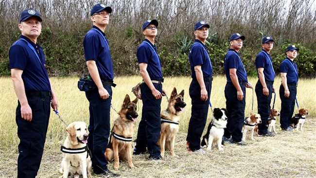 離島首支警犬隊週年　邊境牧羊犬最萌