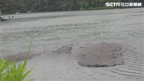 宜蘭人氣景點梅花湖深受不少觀光客喜愛，但因缺雨水，湖面出現「沙洲」，也是10年來首見。對此，遊客中心表示，梅花湖的水源大光明圳近日缺水，目前已抽取附近地下水應急。（圖／翻攝畫面）