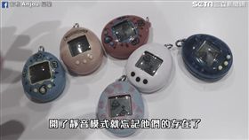 網紅挑戰照顧六台電子雞。（圖／翻攝自安啾 Anjou臉書）