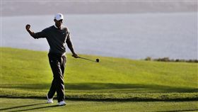 伍茲。（圖/翻攝自伍茲網站）