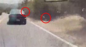 屏東,墾丁,香蕉皮,Tom,道歉。翻攝畫面
