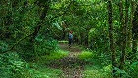 2018台灣步道日 新北市觀光局提供