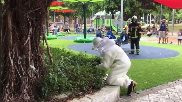 小孩公園玩耍遭蜂螫　視訊報案急摘除