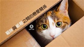▲圖／翻攝自PetTalk官網