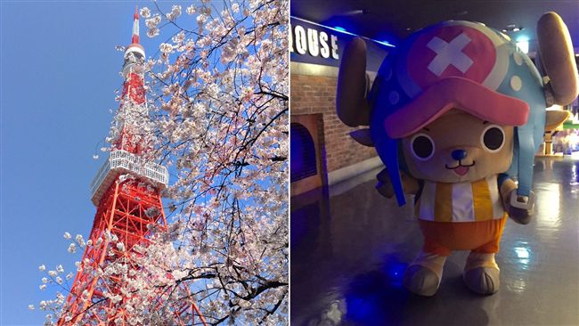 待整天也甘願！必朝聖日本十大主題館