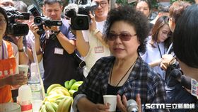 總統府秘書長陳菊。（圖／記者盧素梅攝）