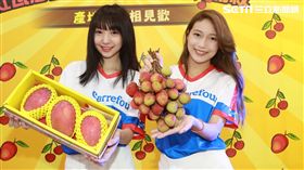 紅瓦厝國寶級履歷玉荷苞,荔枝,蘇小真,生產履歷,家樂福,愛文芒果,草生