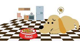 名家／毛起來／狗狗厭食怎麼辦？先觀察行為才能對症下藥！