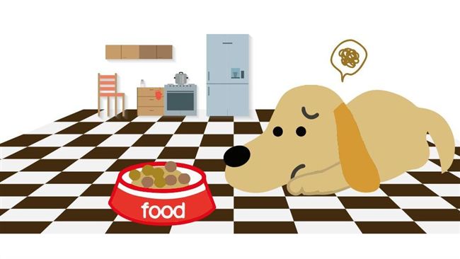 狗狗厭食怎辦？先觀察行為再對症下藥